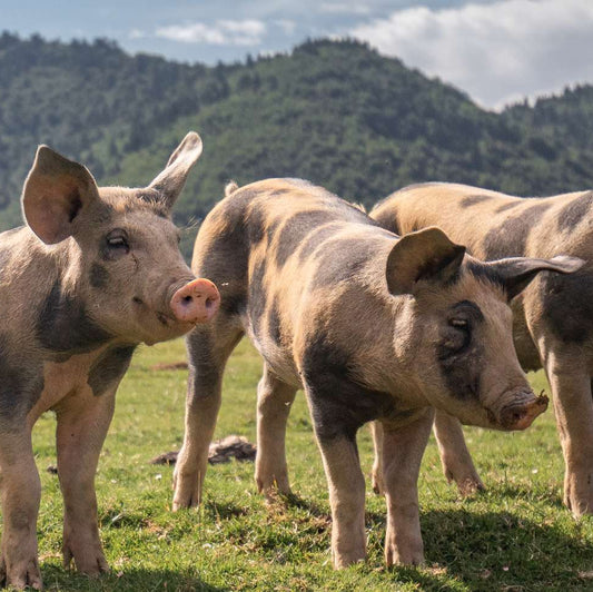 3. The Pork Bundle