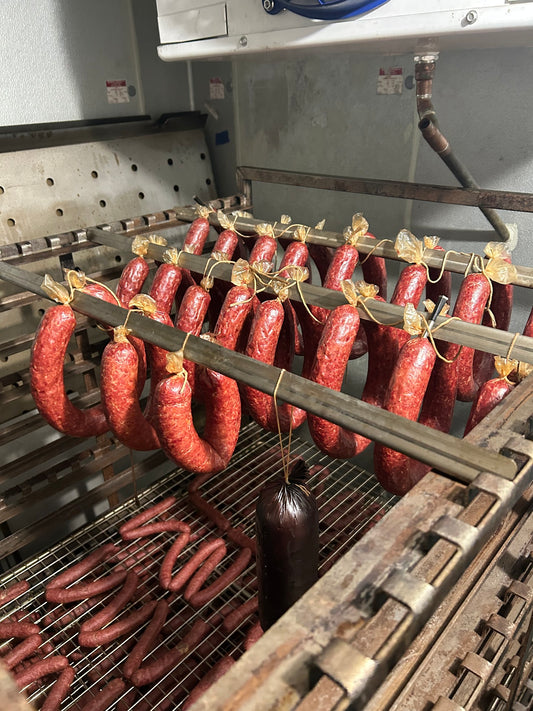 Ring Bologna