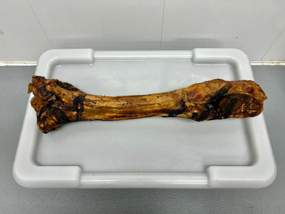 Beef Bones Full Length